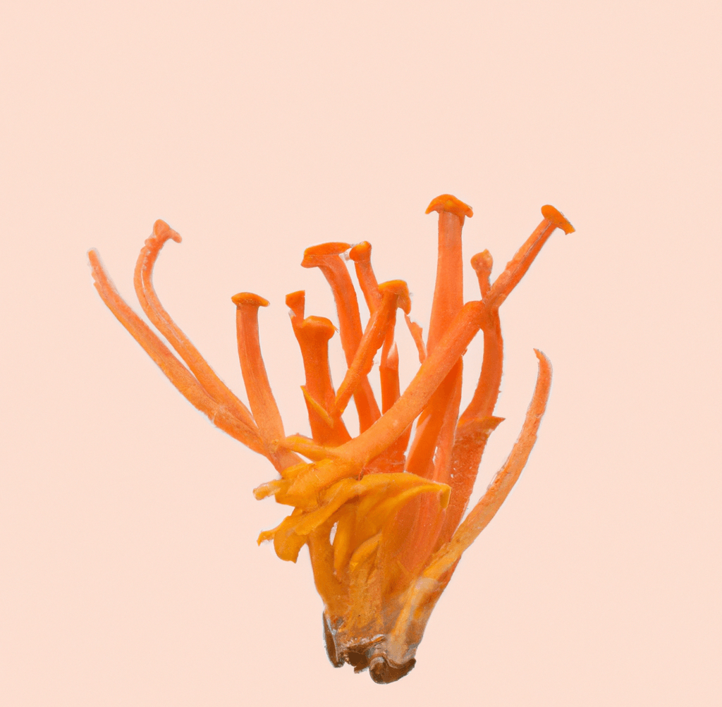 An image of cordyceps mushrooms on a pastel orange background_the benefits of cordyceps mushrooms_wearehumans.digital