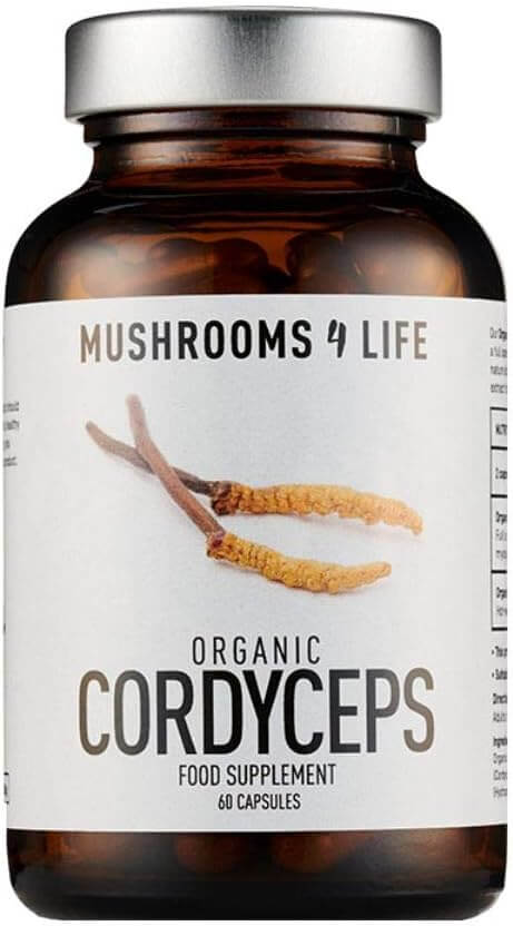 Mushrooms 4 Life cordyceps supplement powder_benefits of cordyceps mushroom_wearehumans.digital