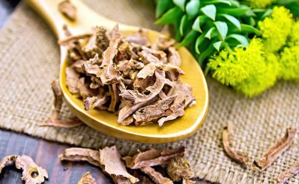 Rhodiola Rosea l The natural root that reduces anxiety, and alleviates depression l wearehumans.digital